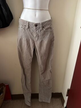 Patagonia Taupe Corduroy Pants - Light Gray Beige